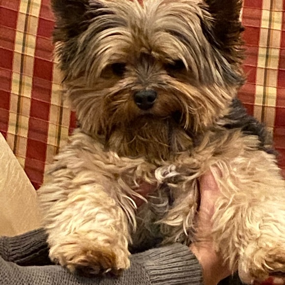 Meet your Posher, Regina - Picture 5 of 6